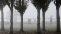 El clima en Rosario: jueves hÃºmedo y con alerta violeta por niebla