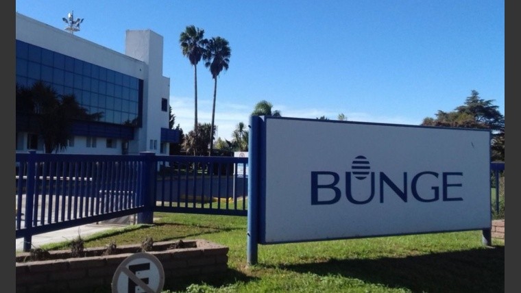 Bunge se quedó con el control de Viterra: los detalles de la fusión de dos gigantes del agro