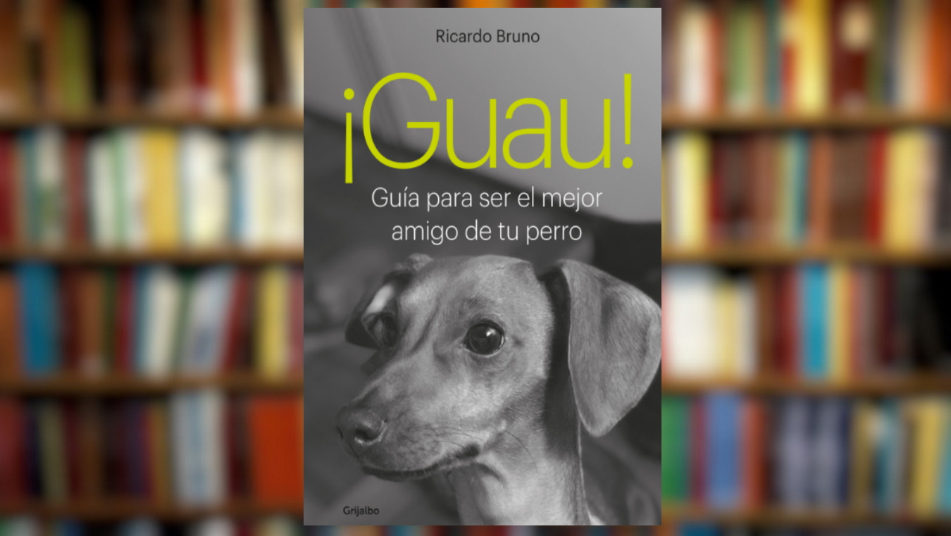 bruno es un buen nombre de perro