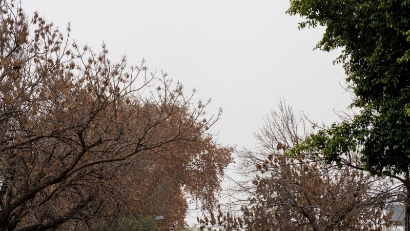 Las temperaturas irán bajando hacia el fin de semana. 