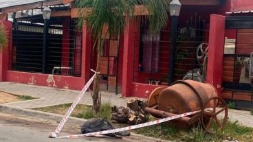 La casa de la que habrían escapado los dogos.