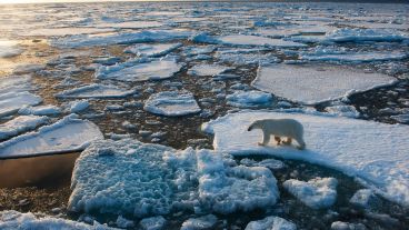 El cambio climático está aumentando la intensidad, duración y ritmo de repetición de los períodos de calor.