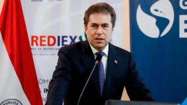 "Llama la atención y lamento las expresiones del ministro Luis Castiglioni del ministerio de Comercio de Paraguay sobre construir un muro entre Argentina y Paraguay".