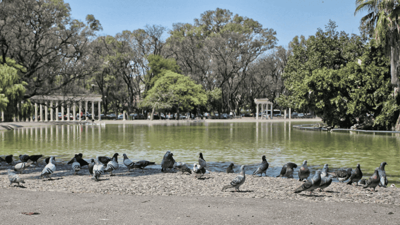 La zona donde se produjo el robo.