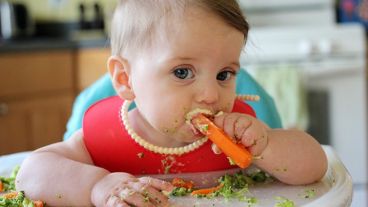 Debe ser concebida como un complemento al alimento principal, que se recomienda sea la lactancia materna