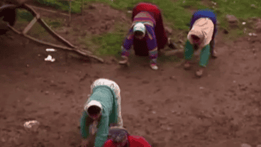 Seis de los 18 hijos de la familia caminan en "cuatro patas".