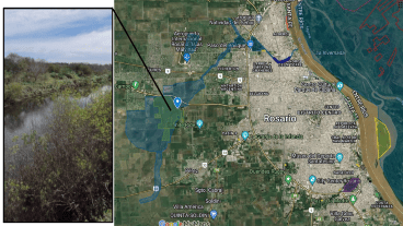 El mapa de Rosario y las reservas: pensar un sistema vida junto a esos espacios verdes.