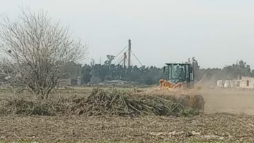 Imagen de la máquinaria en plena destrucción del corredor biológico.