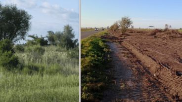 A la izquierda, el corredor con especies nativas; a la derecha, cómo quedó tras "la limpieza".