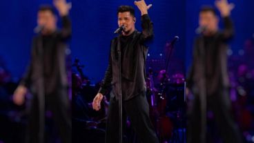 El cantante Ricky Martin.