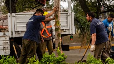 Las extracciones se concretarán durante el fin de semana aprovechando la baja del flujo vehicular.