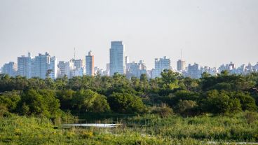 Un mal olor invadió la ciudad por algunos días.