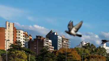 Dos días de sol y calor antes de un nuevo cambio en las condiciones meteorológicas.