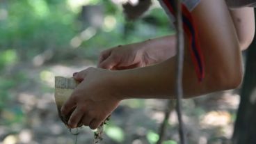 El hogar se puede convertir en un criadero de mosquitos si no se toman los recaudos necesarios.