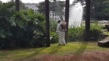 Este miércoles hubo fumigaciones en los parques Independencia, Sur, Héroes de Malvinas y en la plaza Alberdi.