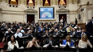 Legisladores anticiparon que el trámite "va a ser largo".