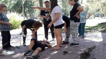 La mujer sufrió la embestida de una rama que le quebró la cadera.