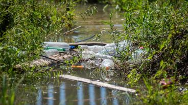 La basura en el Paraná.