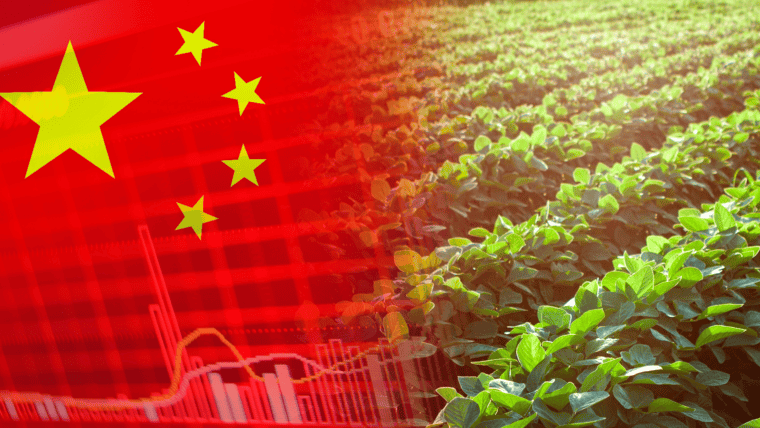 Importaciones de soja en China