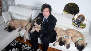 Javier Milei junto a sus "hijos de cuatro patas".