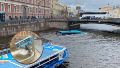 Rusia: el impresionante video donde cae un colectivo a un río y mueren al menos tres personas