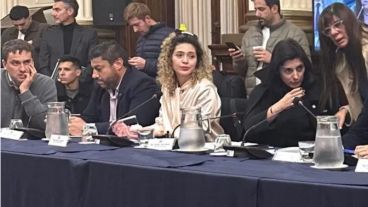 La diputada Lourdes Arrieta con uno de los populares patos amarillos sobre la cabeza, durante el debate en Comisión.