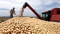 El ingreso de dólares por exportación de granos cayó 37% en mayo con relación al año pasado