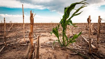 Los pronósticos de la OMM estipulan que hay un 70% de probabilidades de que La Niña aparezca en el periodo agosto-noviembre.