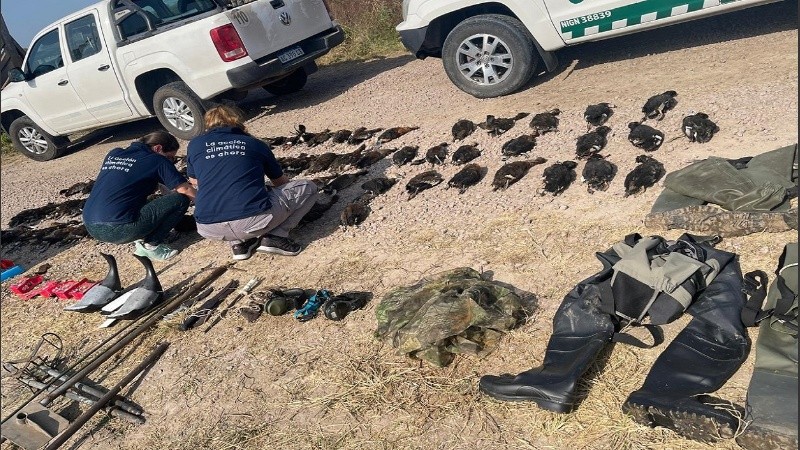 Fueron decomiados elementos para la caza, muchos de ellos prohibidos, y casi una centena de patos.