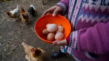 Huevos, harina de trigo, dulces, miel, huerta y adobe para bioconstrucción; parte de la diversidad.