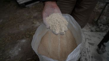 La molienda gruesa procesa el grano y después, la fina, completa el proceso.