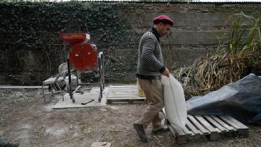 Huevos, harina de trigo, miel, huerta y adobe para bioconstrucción; parte de la diversidad.