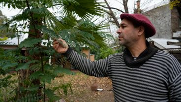 Guardar semillas y plantar árboles que no se verán; la agroecología apuesta a la vida.