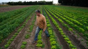 Agroecología