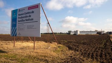 En Máximo Paz ya funcionan invernaderos, cultivos a cielo abierto y fábrica de conservas.