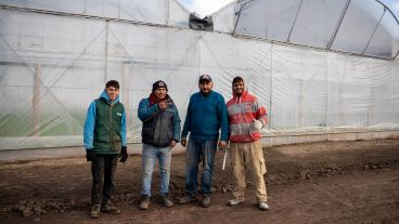 En Máximo Paz ya funcionan invernaderos, cultivos a cielo abierto y fábrica de conservas.