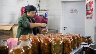 En Máximo Paz ya funcionan invernaderos, cultivos a cielo abierto y fábrica de conservas.