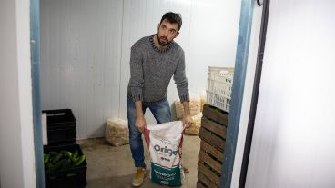 En Máximo Paz ya funcionan invernaderos, cultivos a cielo abierto y fábrica de conservas.