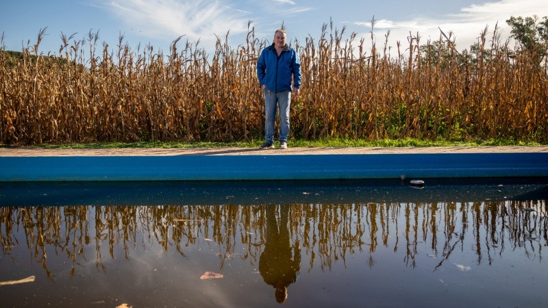 Sin químicos. En un campo periurbano de Zavalla una casa con pileta convive con un maizal agroecológico.