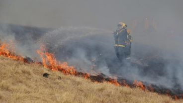 En la provincia capacitan a brigadistas.