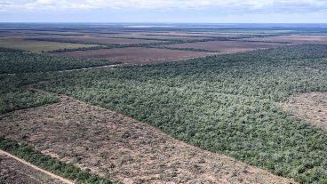 Una de las imágenes satelitales correspondiente al desmonte en el Chaco.