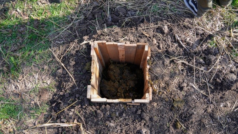 La mezcla se deja en fermentación aeróbica durante 3 a 4 meses. Después se aplica diluido en agua.