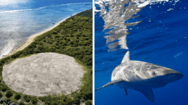 Un informe de las Naciones Unidas afirmó que había una "contaminación ambiental casi irreversible".