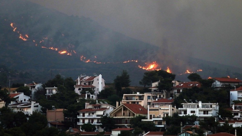 Los incendios arrasaron unas 10 mil hectáreas en la región de Ática, al norte de Atenas, en Grecia.