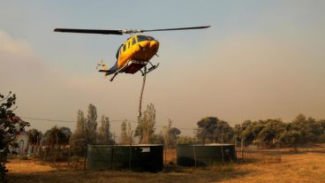 Los incendios arrasaron unas 10 mil hectáreas en la región de Ática, al norte de Atenas, en Grecia.