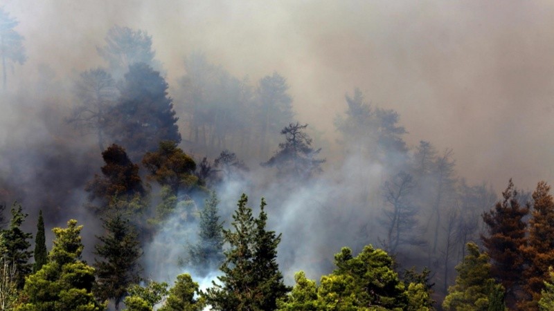 Los incendios arrasaron unas 10 mil hectáreas en la región de Ática, al norte de Atenas, en Grecia.