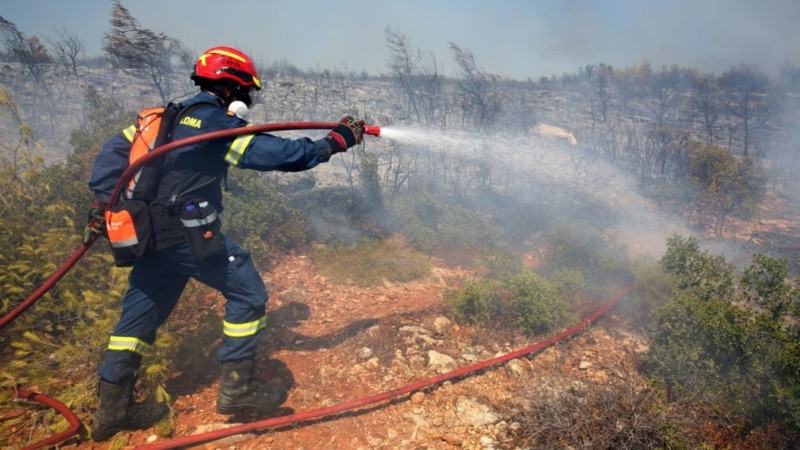 Los incendios arrasaron unas 10 mil hectáreas en la región de Ática, al norte de Atenas, en Grecia.