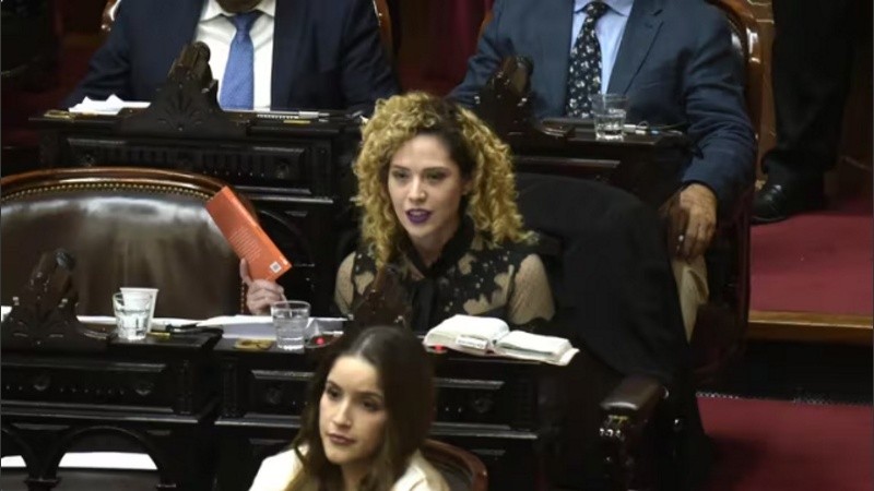 Las diputadas Lourdes Arrieta y Rocío Bonacci.