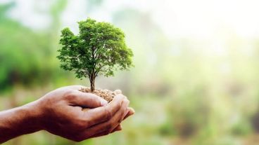 Consejos para cuidar a los llamados "guardianes de la naturaleza".