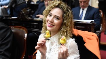 Lourdes Arrieta, llamada la "diputada del patito".